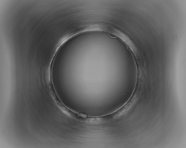 X0000110680858200906121204