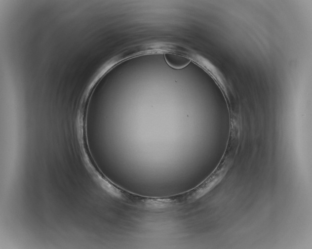 X0000110680859200906121204