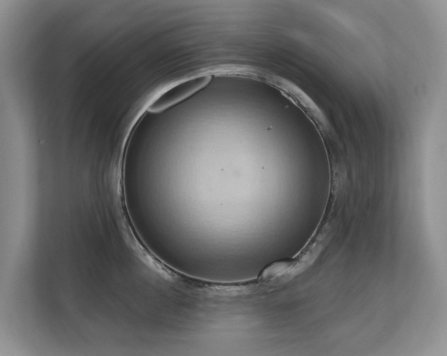 X0000110680860200906121204