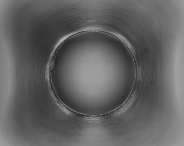 X0000110680862200906121204