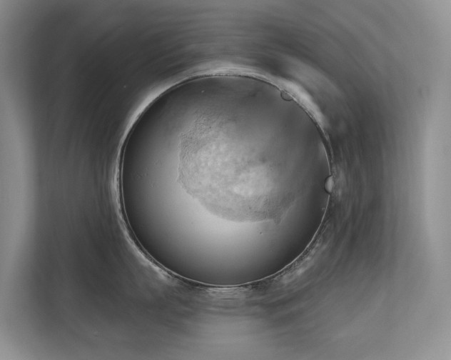 X0000110680863200906121204