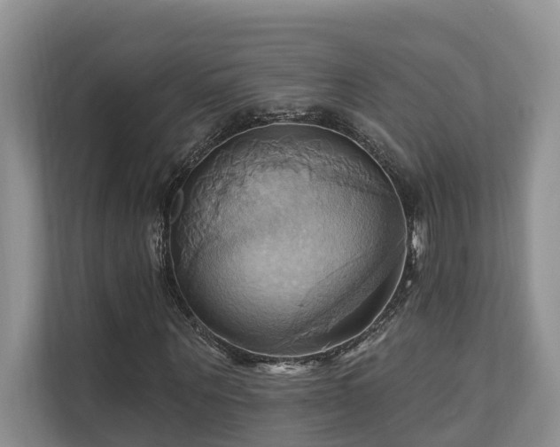 X0000110680867200906121204
