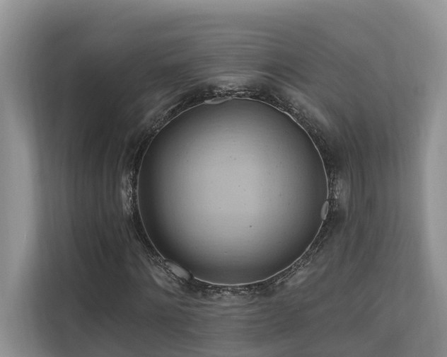 X0000110680868200906121204