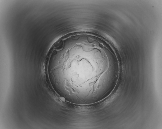 X0000110680875200906121204