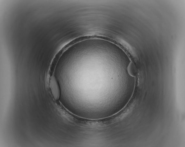 X0000110680876200906121204