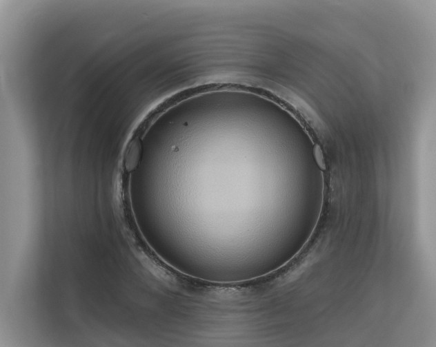X0000110680880200906121204