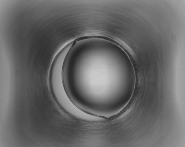 X0000110680885200906121204