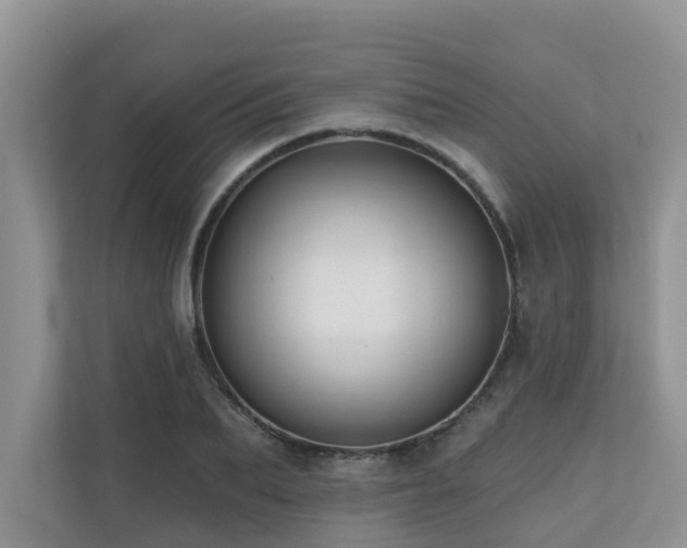 X0000110680887200906121204