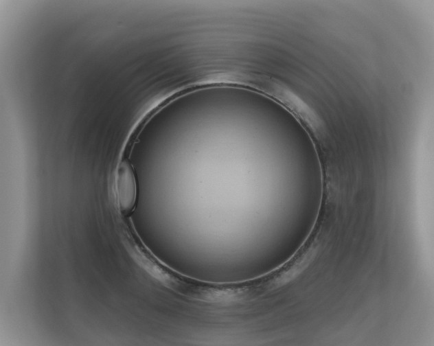 X0000110680892200906121204