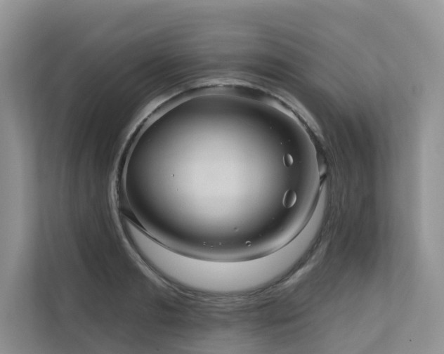 X0000110680893200906121203