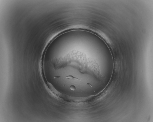 X0000110680895200906121203