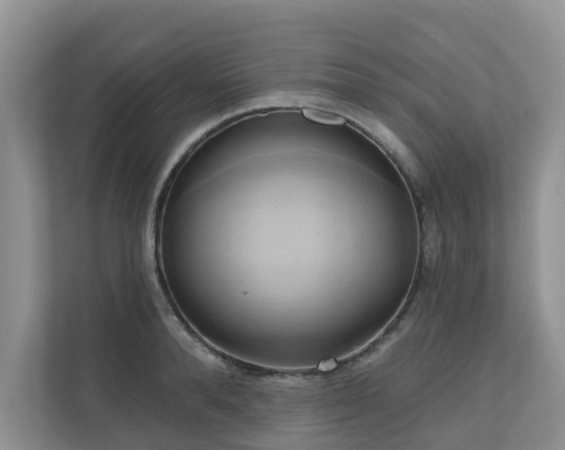 X0000110680896200906121203