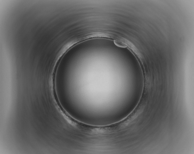 X0000110680898200906121203