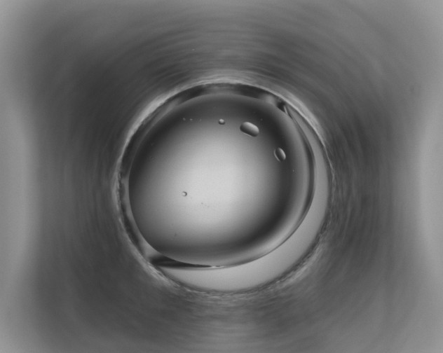 X0000110680901200906121203
