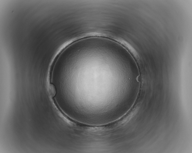 X0000110680902200906121203