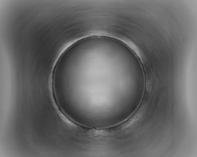 X0000110680903200906121203