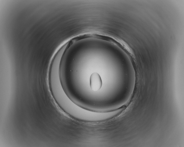 X0000110680904200906121203
