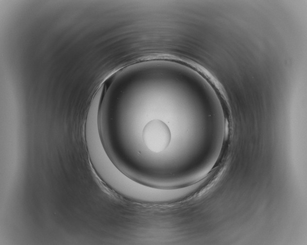 X0000110680905200906121203
