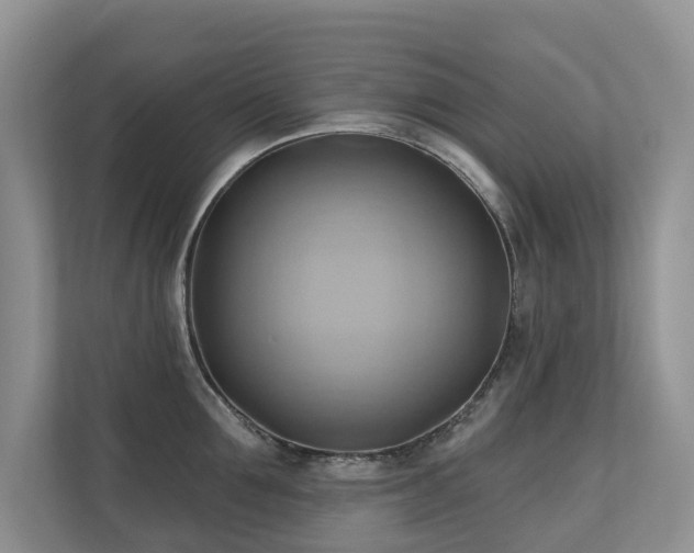 X0000110680907200906121203