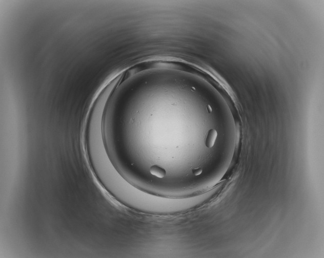 X0000110680909200906121203