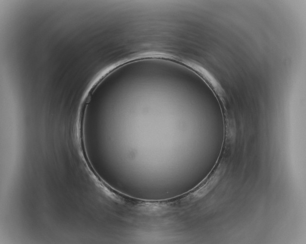 X0000110680910200906121203