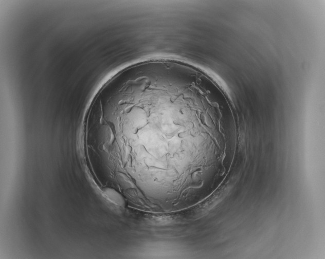 X0000110680911200906121203