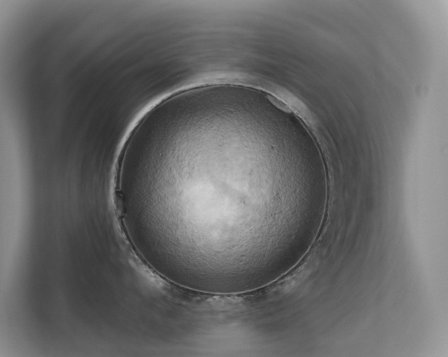 X0000110680912200906121203