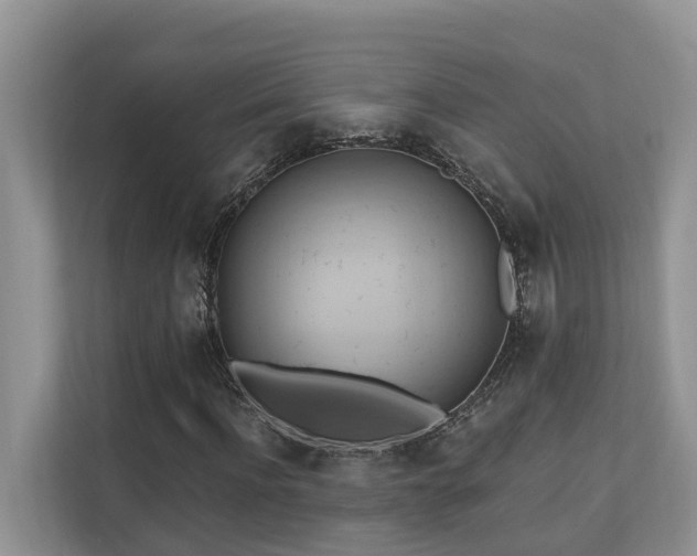 X0000110680916200906121203