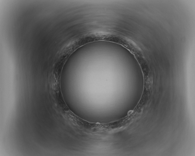X0000110680917200906121203