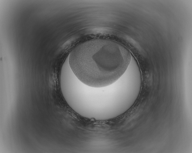 X0000110680918200906121203