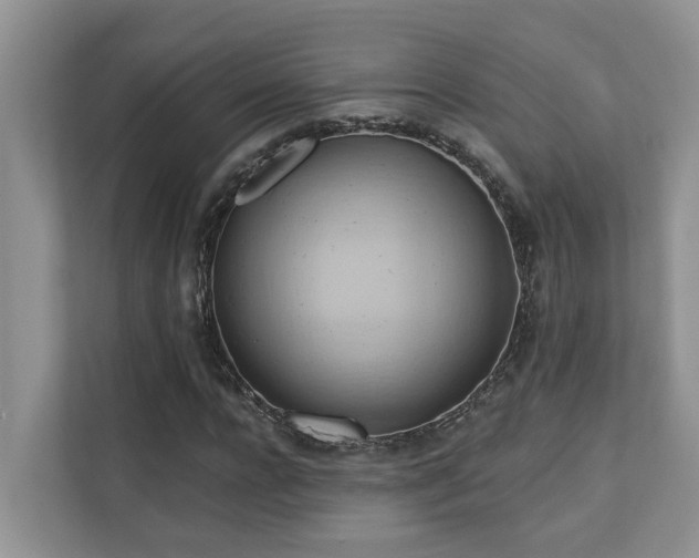 X0000110680920200906121203
