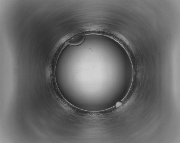 X0000110680922200906121203