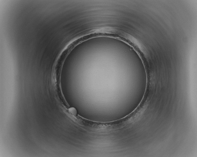 X0000110680923200906121203