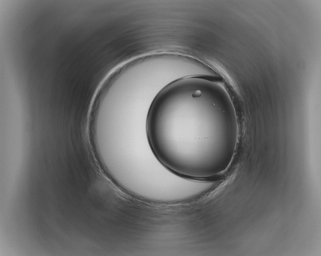 X0000110680924200906121203