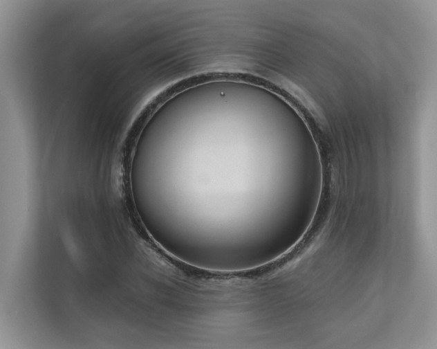 X0000110680926200906121203