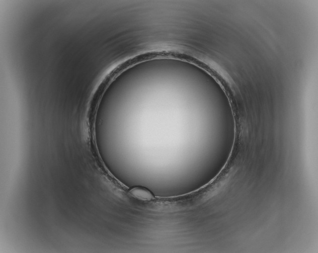 X0000110680927200906121203