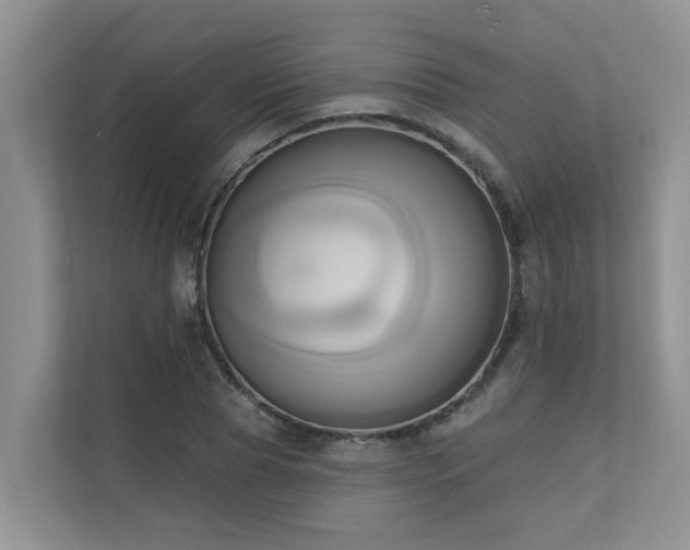 X0000110680929200906121203