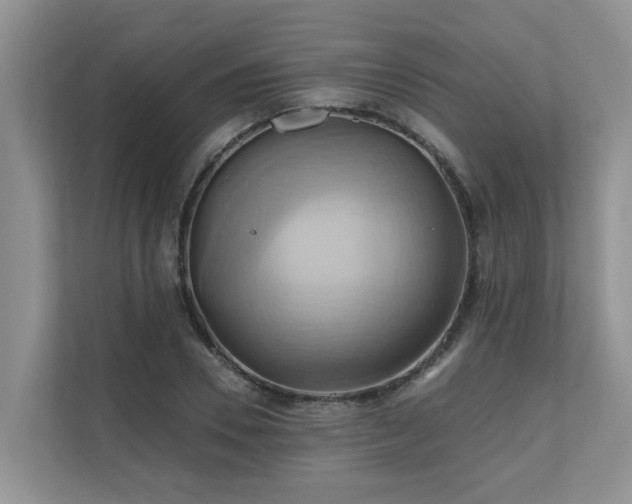 X0000110680930200906121203