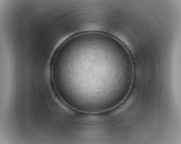 X0000110680933200906121203