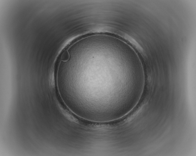 X0000110680934200906121203