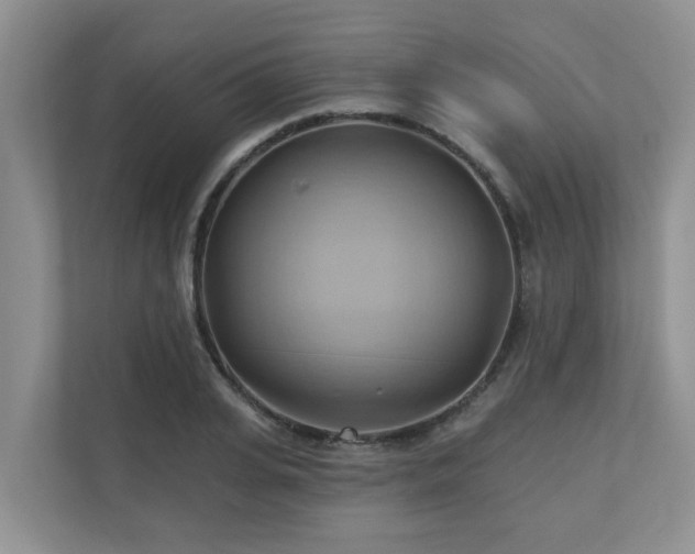 X0000110680935200906121203