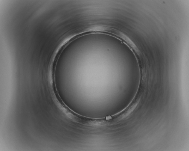 X0000110680939200906121203