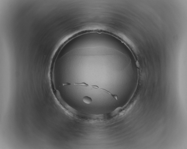 X0000110680943200906121203