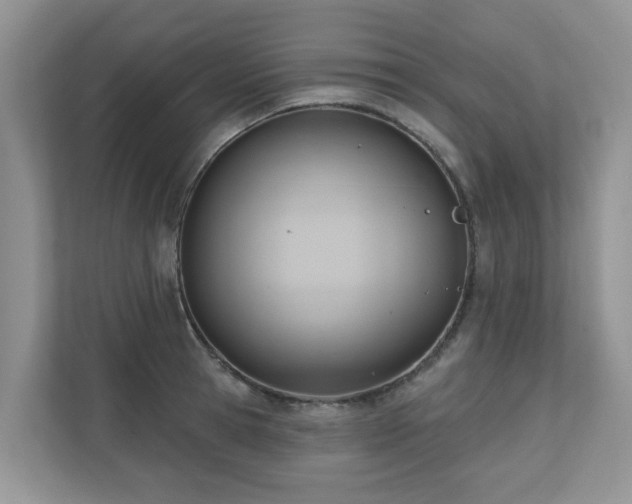 X0000110680945200906121203