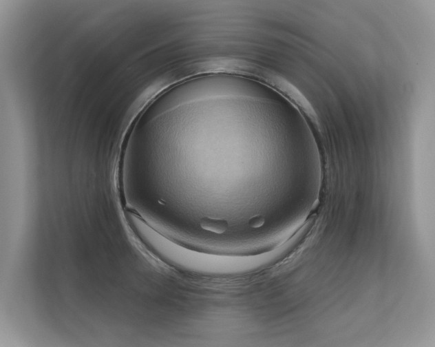 X0000110680946200906121203