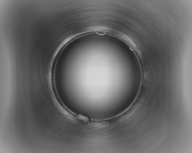 X0000110680947200906121203