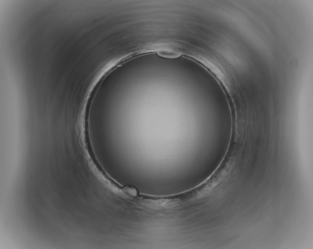 X0000110680949200906121203