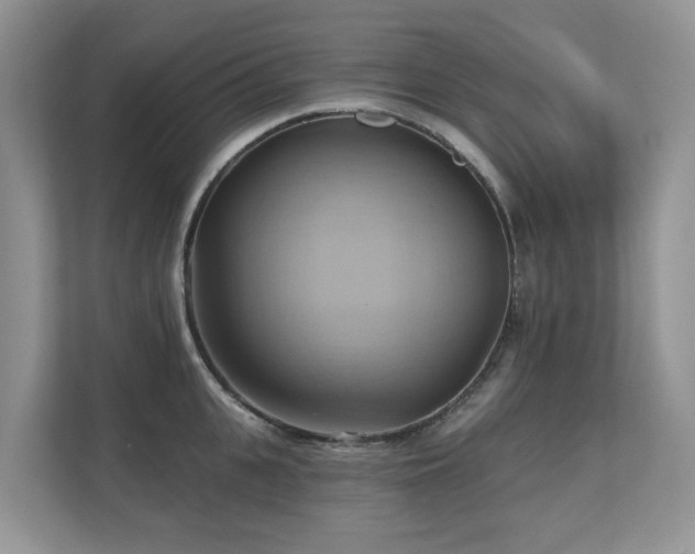 X0000110680951200906121203