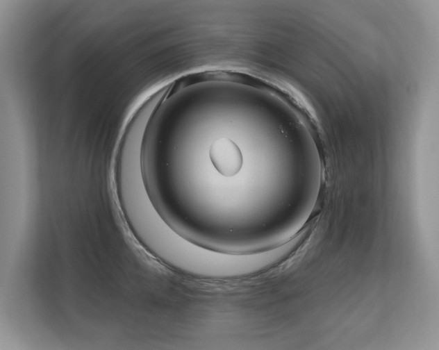 X0000110680952200906121203
