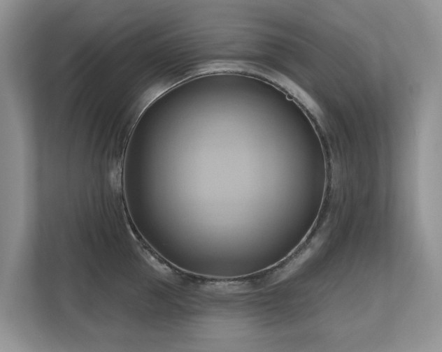 X0000110680953200906121203